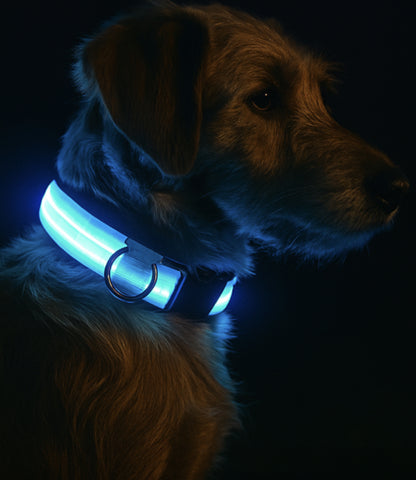 LED Nylon Dog Leash & Collar Set - Night Safety