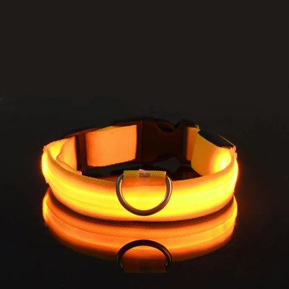 LED Nylon Dog Leash & Collar Set - Night Safety