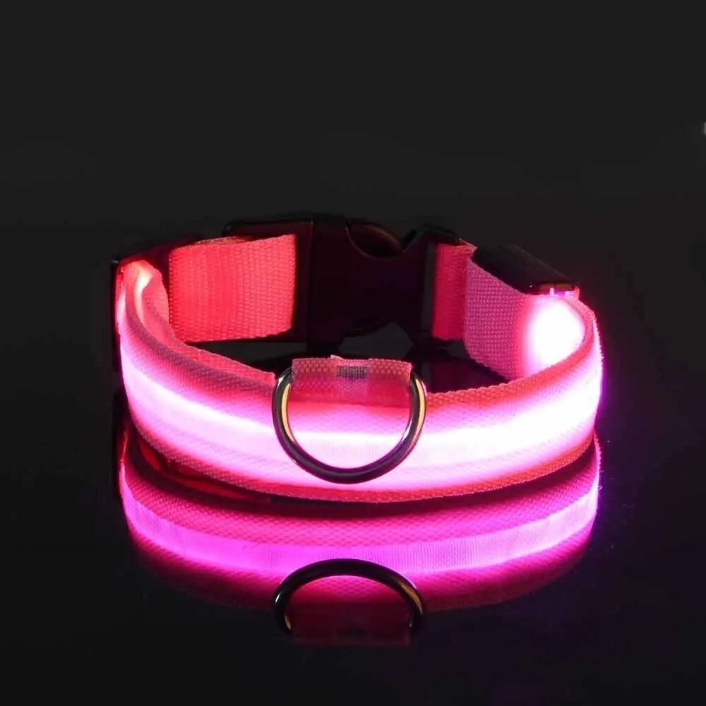 LED Nylon Dog Leash & Collar Set - Night Safety