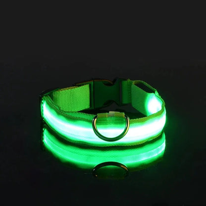 LED Nylon Dog Leash & Collar Set - Night Safety