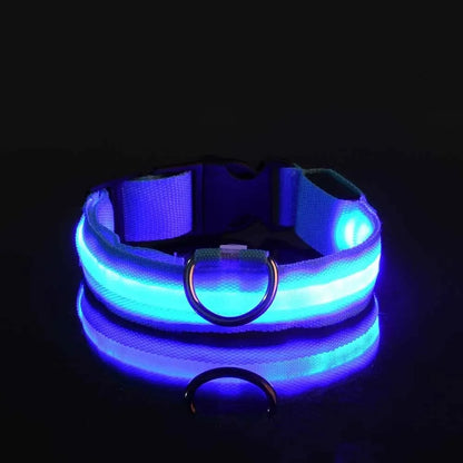 LED Nylon Dog Leash & Collar Set - Night Safety