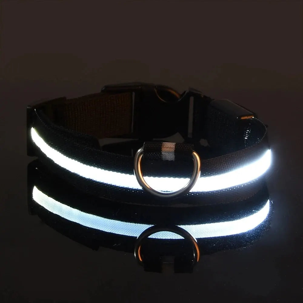 LED Nylon Dog Leash & Collar Set - Night Safety