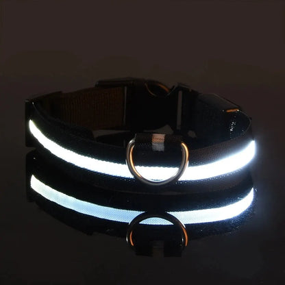 LED Nylon Dog Leash & Collar Set - Night Safety