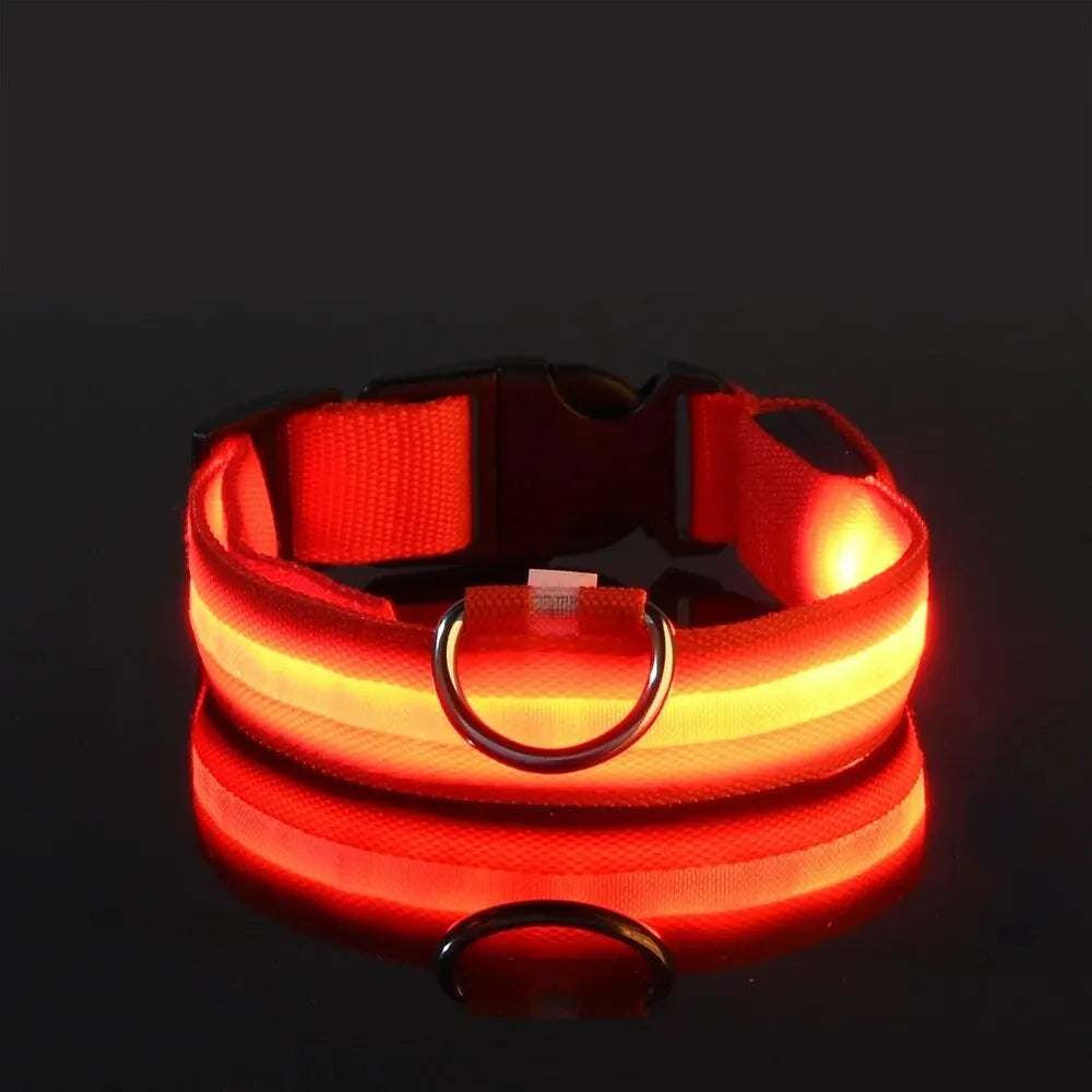 LED Nylon Dog Leash & Collar Set - Night Safety