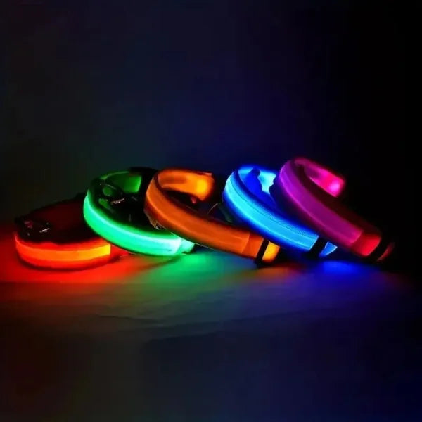 LED Nylon Dog Leash & Collar Set - Night Safety