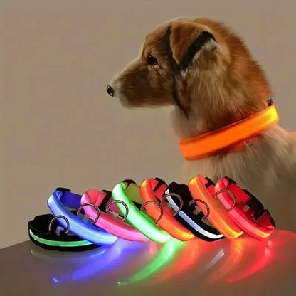 LED Nylon Dog Leash & Collar Set - Night Safety