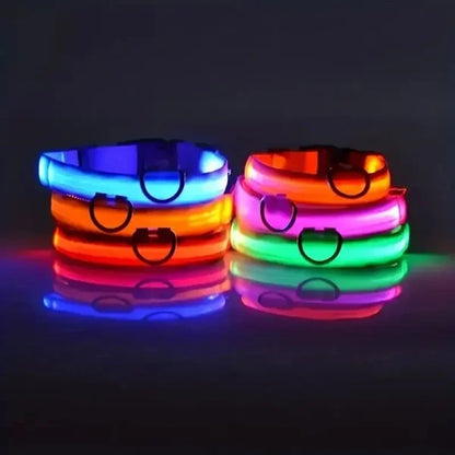 LED Nylon Dog Leash & Collar Set - Night Safety